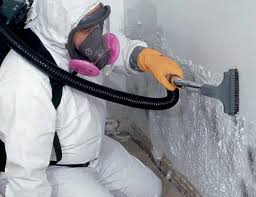 Best Asbestos and Lead Testing During Mold Inspection in Easton, MD